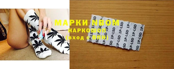 бошки Бородино