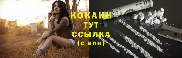 бошки Бородино