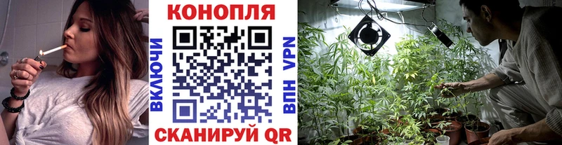 Шишки марихуана White Widow  Купить закладки  Дивногорск 